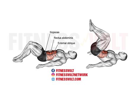 Reverse Crunch