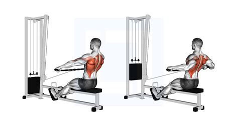 Reverse Row Machine Spinal Alignment