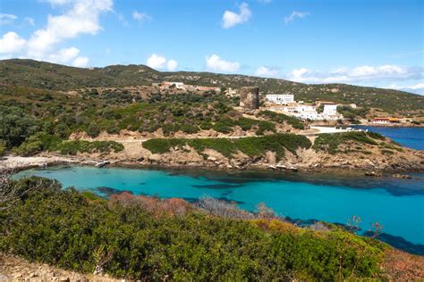 Review Asinara experience