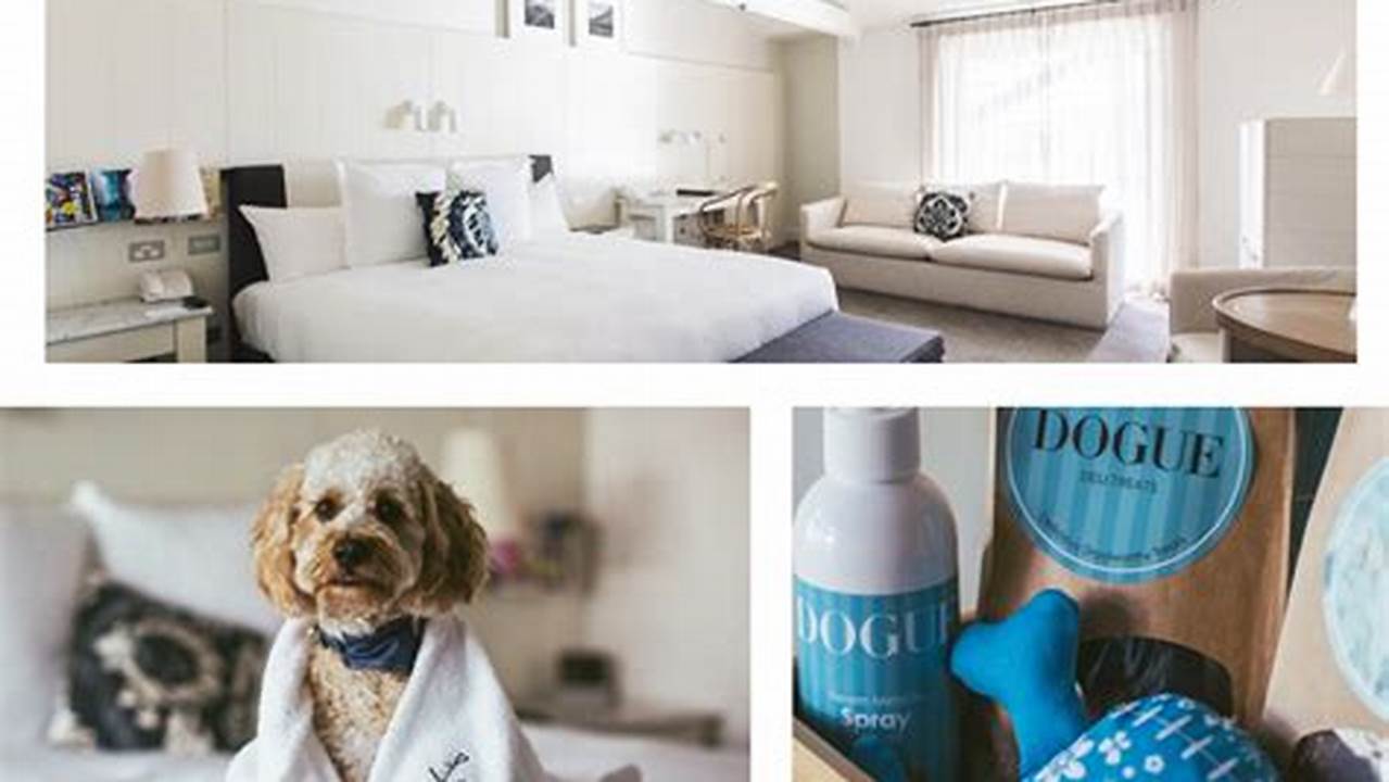 Reviews And Recommendations, Pet Friendly Hotel