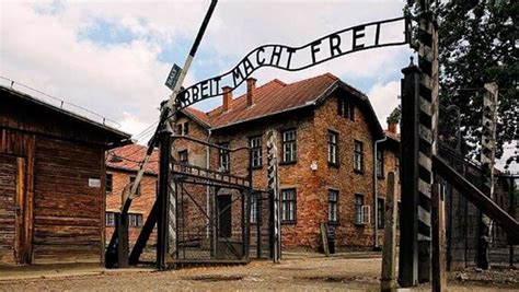 Reviews For Auschwitz Tour