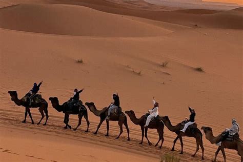 Reviews Sahara Tours