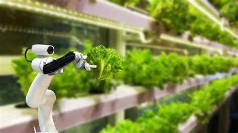 New Automation Technologies are Revolutionizing Farming