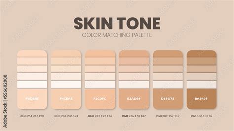 Revamp Your Skin Tone with Perfect RGB Color Palette