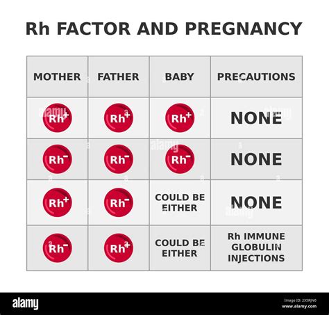 Rhesus Factor Chart
