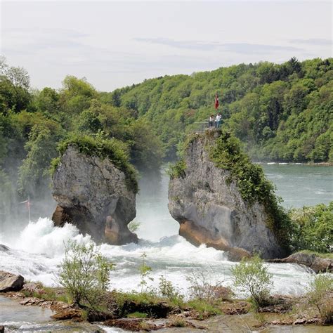 Rhine Falls Review