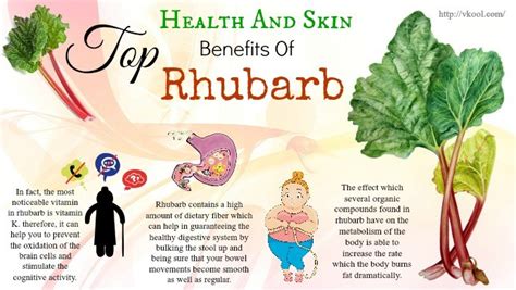 Rejuvenate Your Skin with the Incredible Rhubarb Benefits: Unlocking the Secrets to Glowing Beauty!
