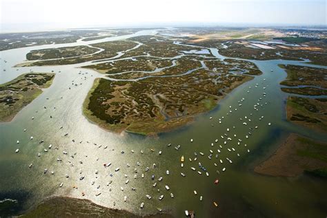 Ria Formosa Birdwatching