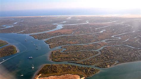 Ria Formosa Nature
