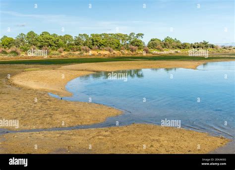 Ria Formosa Landscape