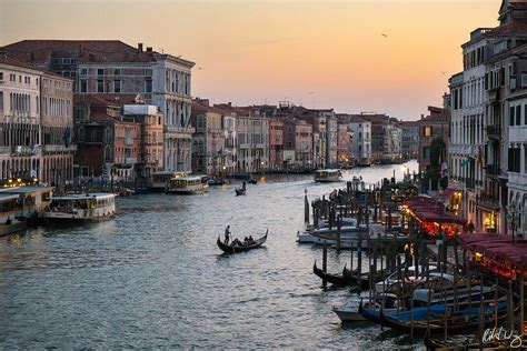 Rialto Bridge View