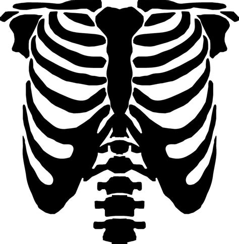 Rib Cage Template For Shirt