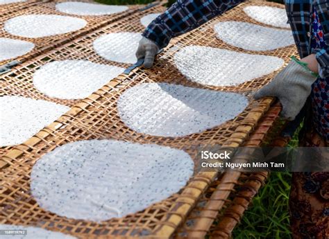 Rice Paper Making Process