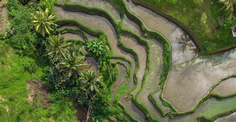 Rice Terrace ticket price