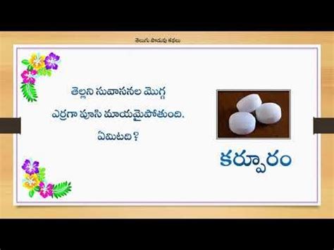 Riddles In Telugu With Answers