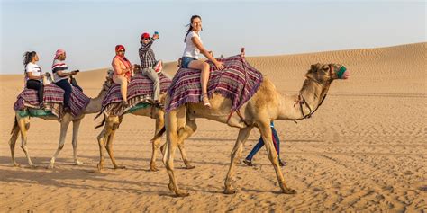 Riding Camel Desert Adventure