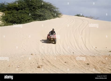 Riding Quad Bike Dunes