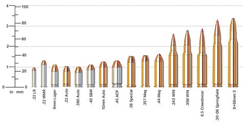 Rifle Ammo Sizes Chart