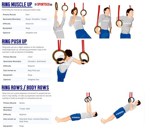 Ring Workouts For Beginners