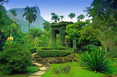 Rio Botanical Garden