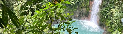 Rio Celeste Sloth
