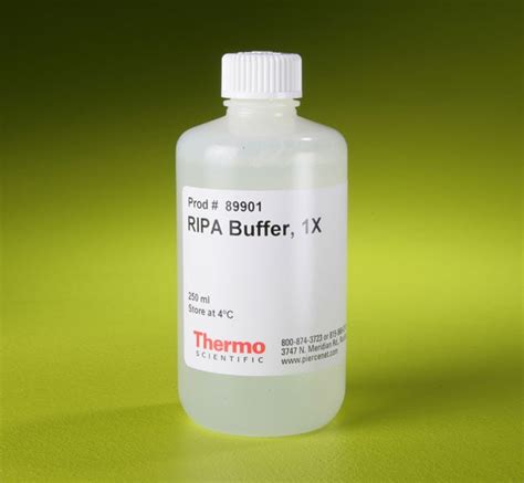Ripa Buffer Recipe