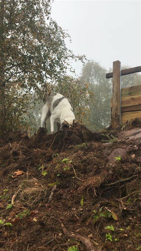 Ripping up the UI roots