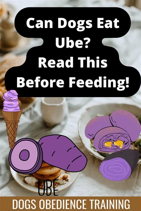 Risks of Feeding Ube to Dogs