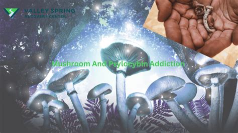 Risks Associated with Mushroom Use Beyond Addiction