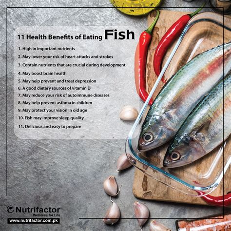 Risks and Concerns of Eating Fish Daily