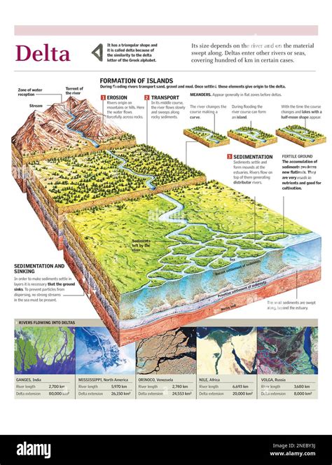 River Delta Guide: Comprehensive Overview