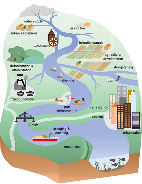 River Environmental Impact