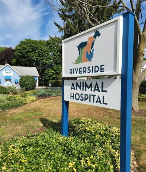 Trustworthy and Compassionate Care at Riverside Animal Hospital RI: Your Pet's Health is Our Priority