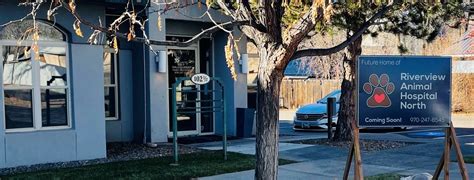 Expert Veterinary Care at Riverview Animal Hospital in Durango, CO - Schedule Your Visit Today!