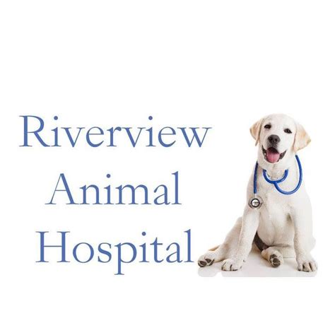 Top-rated Animal Care at Riverview Animal Hospital in North Wilkesboro, NC - Your Pet's Health is Our Priority