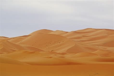 Riyadh Desert Tips