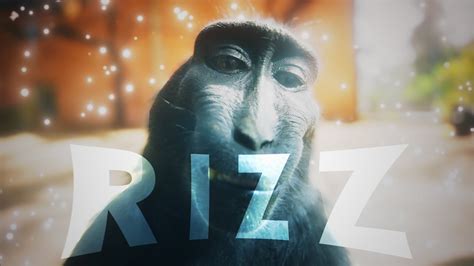Rizz Monkey mascot