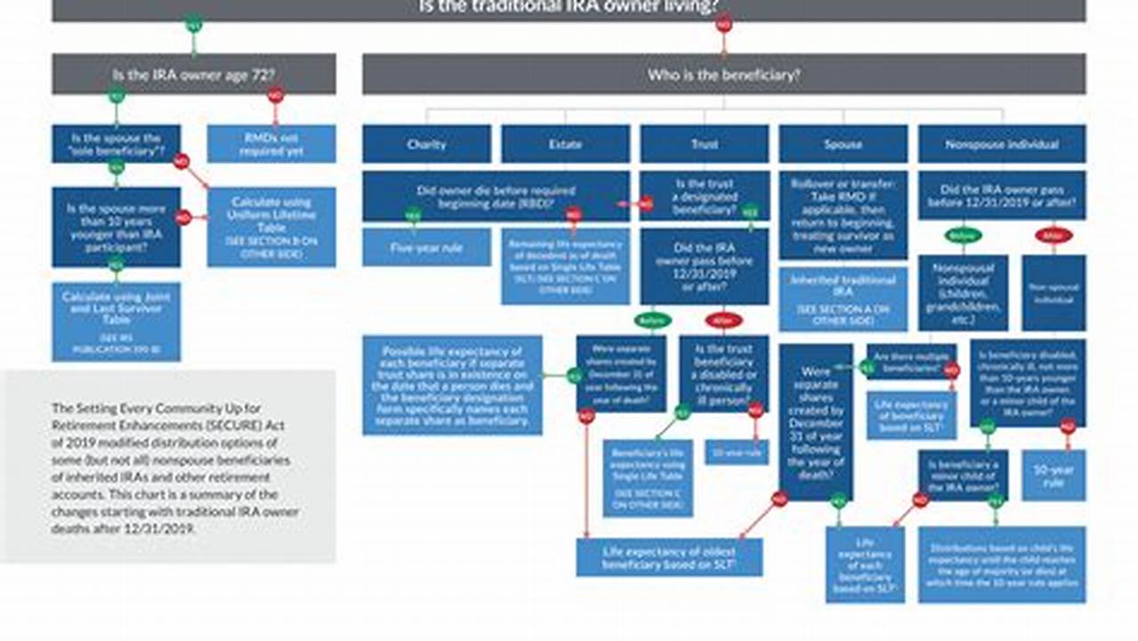 Rmd Calculator 2024 How It Works Pdf