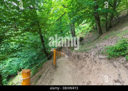 Road to Shirhal Waterfall