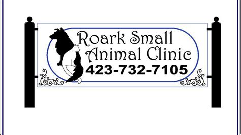 Expert Care for Your Furry Friends: Discover Roark Small Animal Clinic
