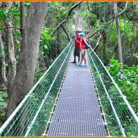 Roatan Eco Walk