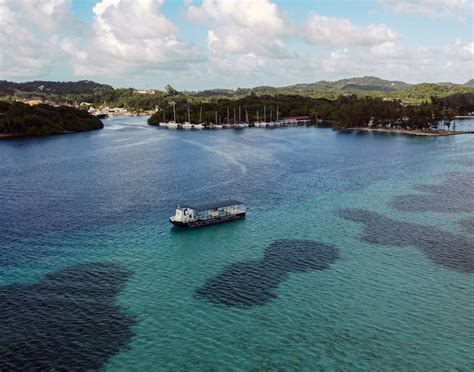 Roatan Glassbottom Boat Tour