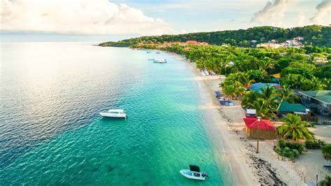 Roatan Guided Tour