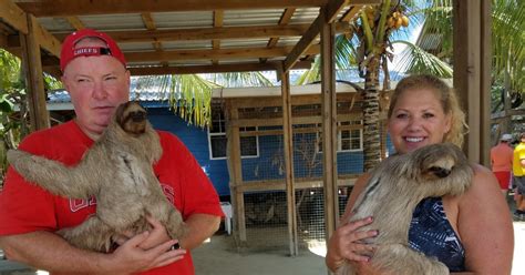 Roatan Island Monkeys