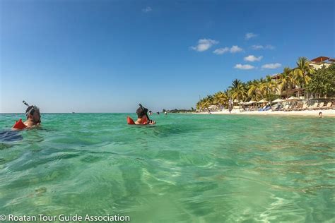 Roatan Tour Guide