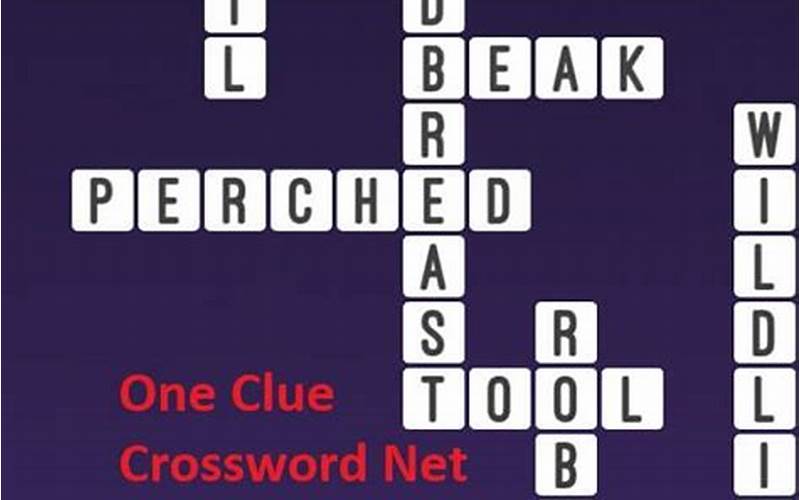 Robin Bird Crossword Clue