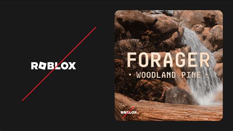 Roblox 社区标准– Roblox 支持﻿