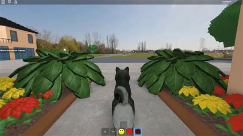 Roblox - MINGUADO VIROU UM CACHORRO!!! - YouTube