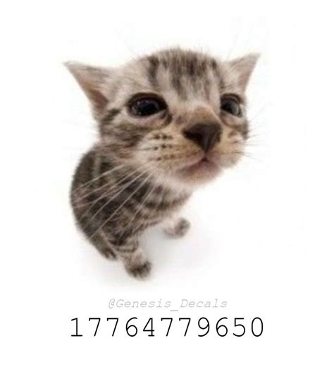 Roblox Cat - Amazon.com