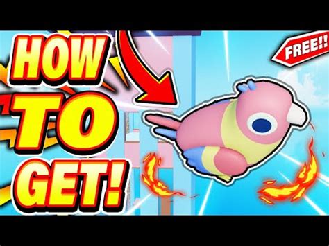 Roblox Find the Animals - How to Find Parrot - YouTube